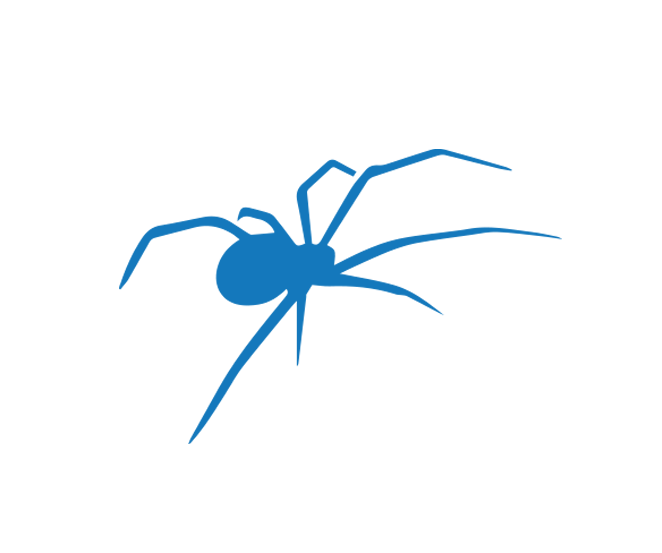 commercial pest control spider